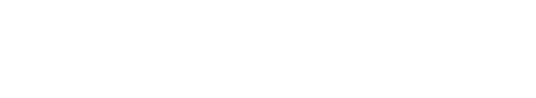 AIDAPT